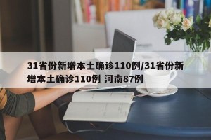 31省份新增本土确诊110例/31省份新增本土确诊110例 河南87例