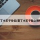 雷丁小王子价位(雷丁小王子能上牌吗)