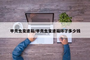 甲壳虫变速箱/甲壳虫变速箱坏了多少钱