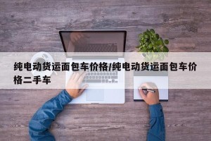 纯电动货运面包车价格/纯电动货运面包车价格二手车